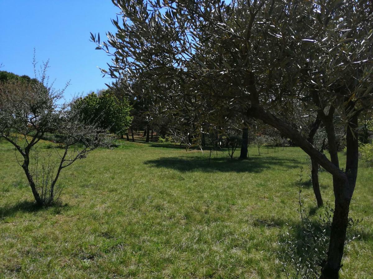 Apartament Les 3 Hirondelles Pont-Saint-Esprit Zewnętrze zdjęcie
